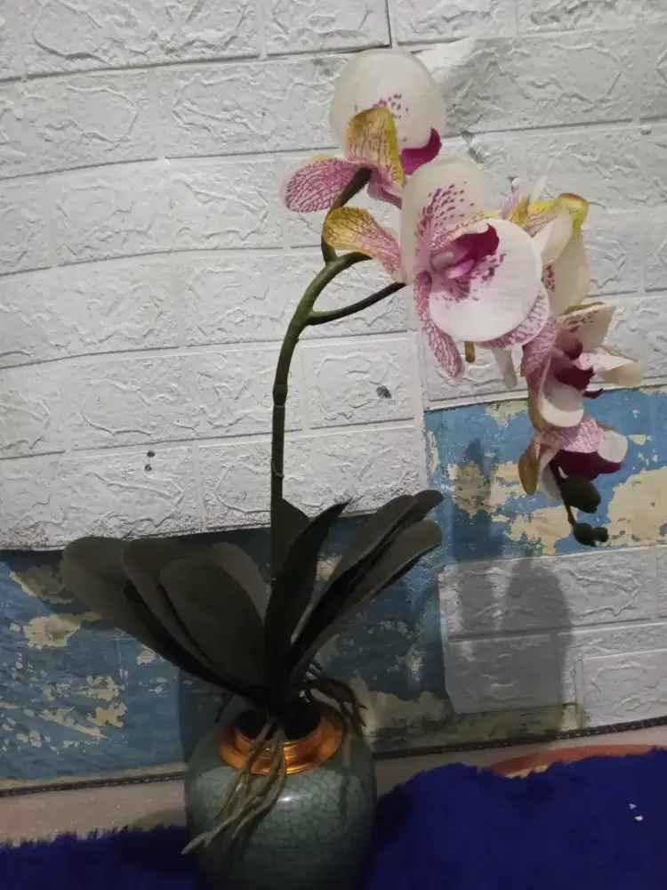 TANAMAN HIAS VAS BUNGA PAJANGAN