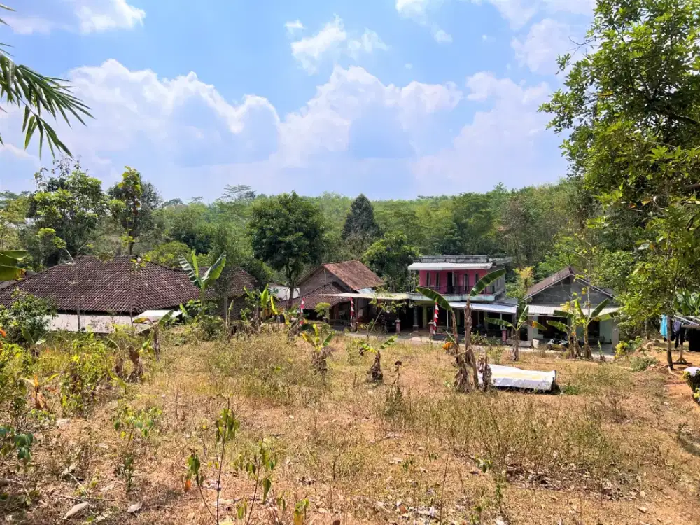 Dijual tanah mueah karangpandan