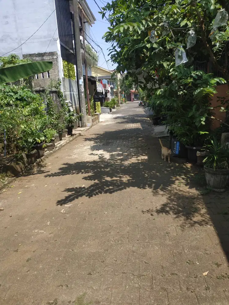 Di jual rumah minimalis