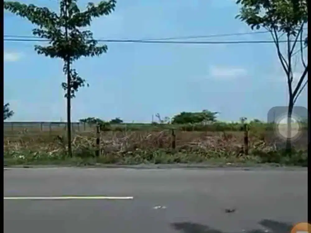 Tanah Dijual Widang Tuban 0 Jalan Raya