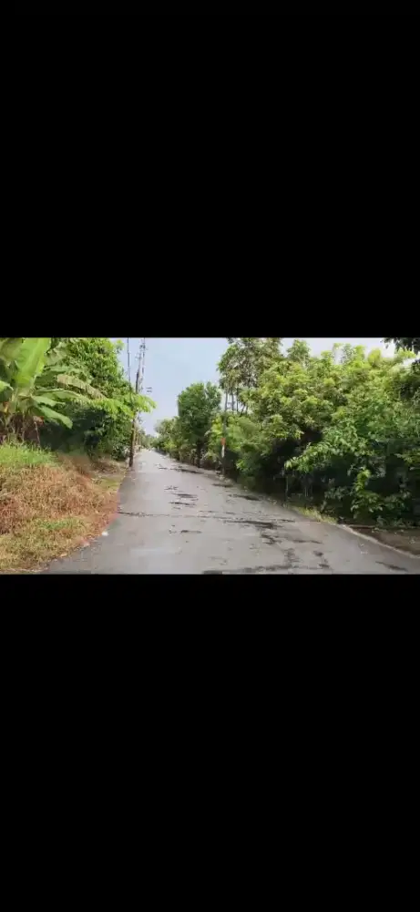 Tanah pangeran natakusuma gang jambi
