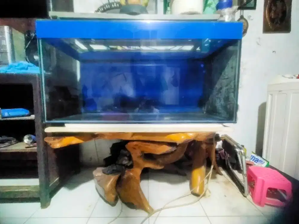AQURIUM  tebal 1 cm