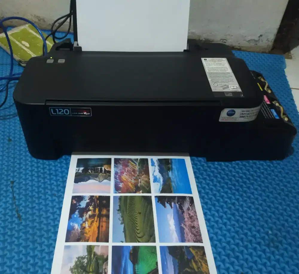 Printer Epson L120 print only