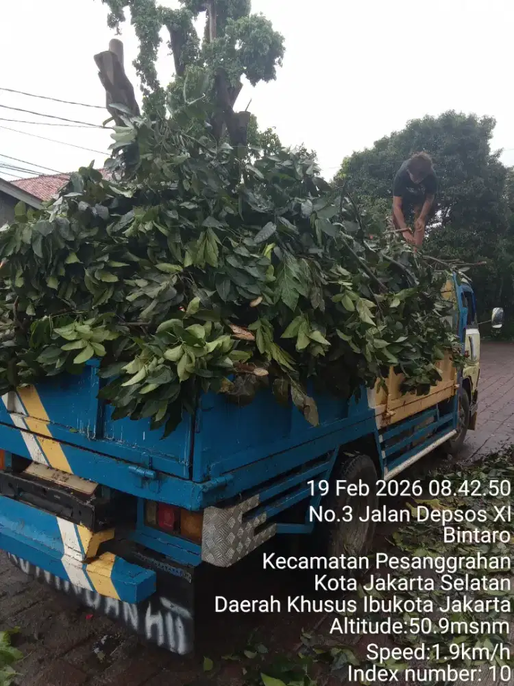 ready jasa buang puing tanah sampah proyek tebangan dll