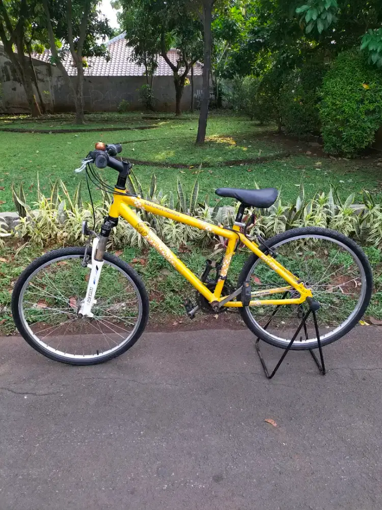 MTB Polygon bike to work