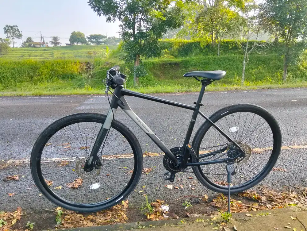 Sepeda Polygon path 3 hybrid bike