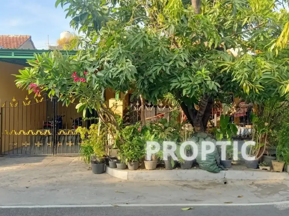 Rumah Rungkut Surabaya - RM072APD