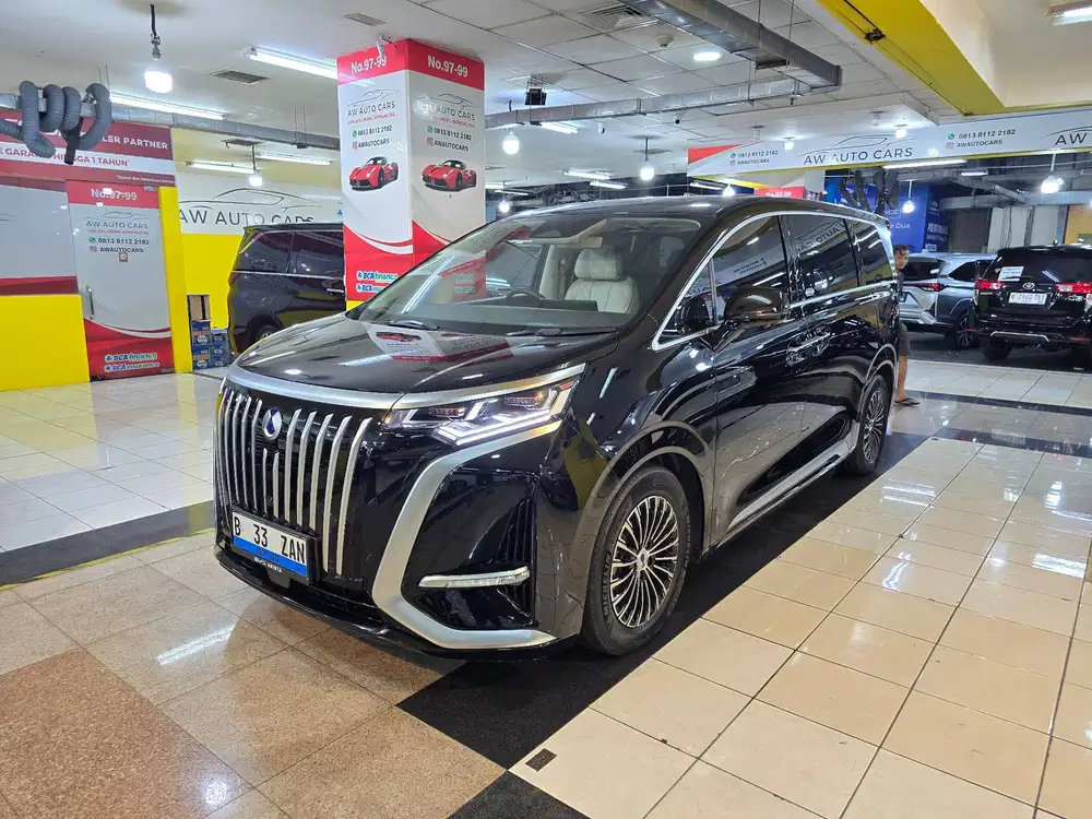 Denza D9 2025 EV Electric Car M6 2024 Long Range ppf xpeng