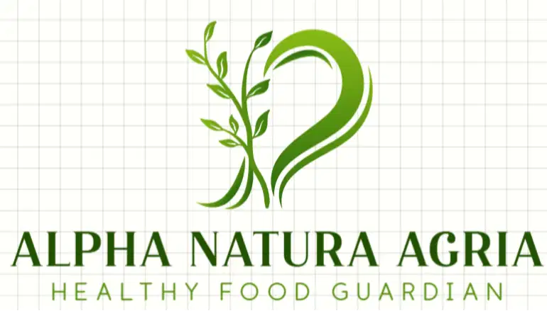 Asisten Pribadi Wanita background F&B untuk Chef Wanita