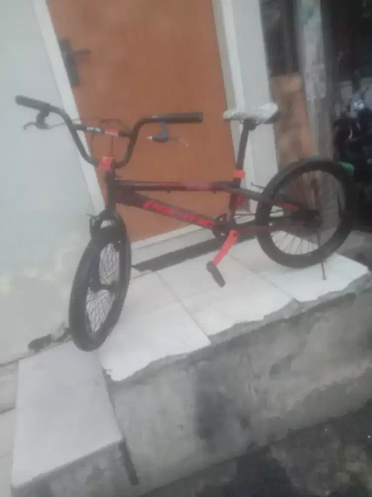 Pacipik ukuran20