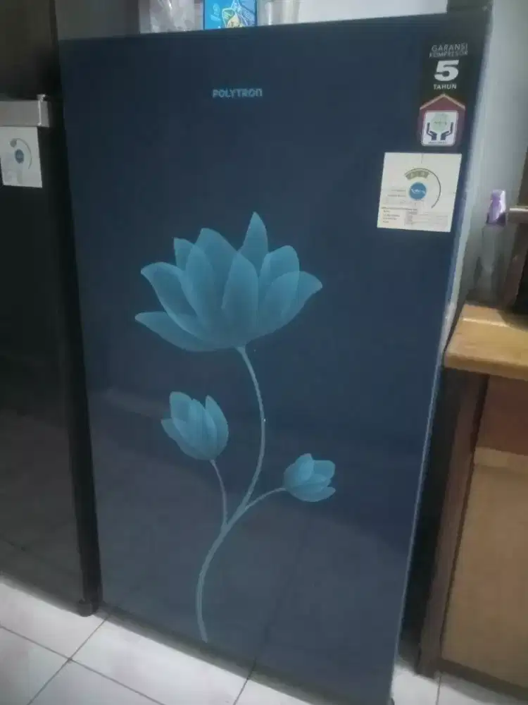 Kulkas Polytron 1 pintu