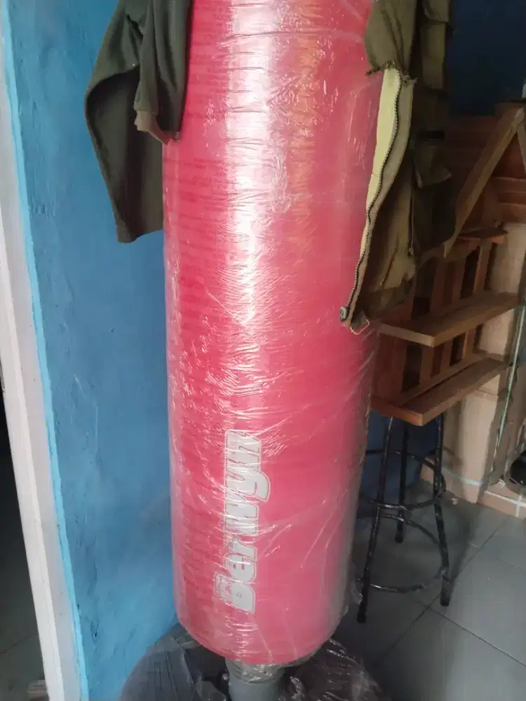 Tinju profesional baru samsak