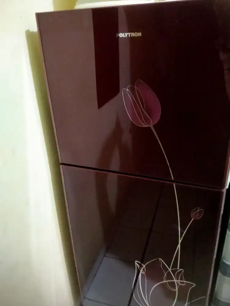 kulkas 2 pintu polytron