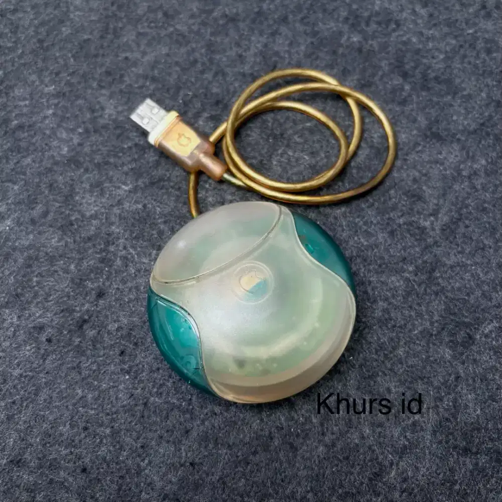 Apple usb mouse blueberry 1999 - rare collection
