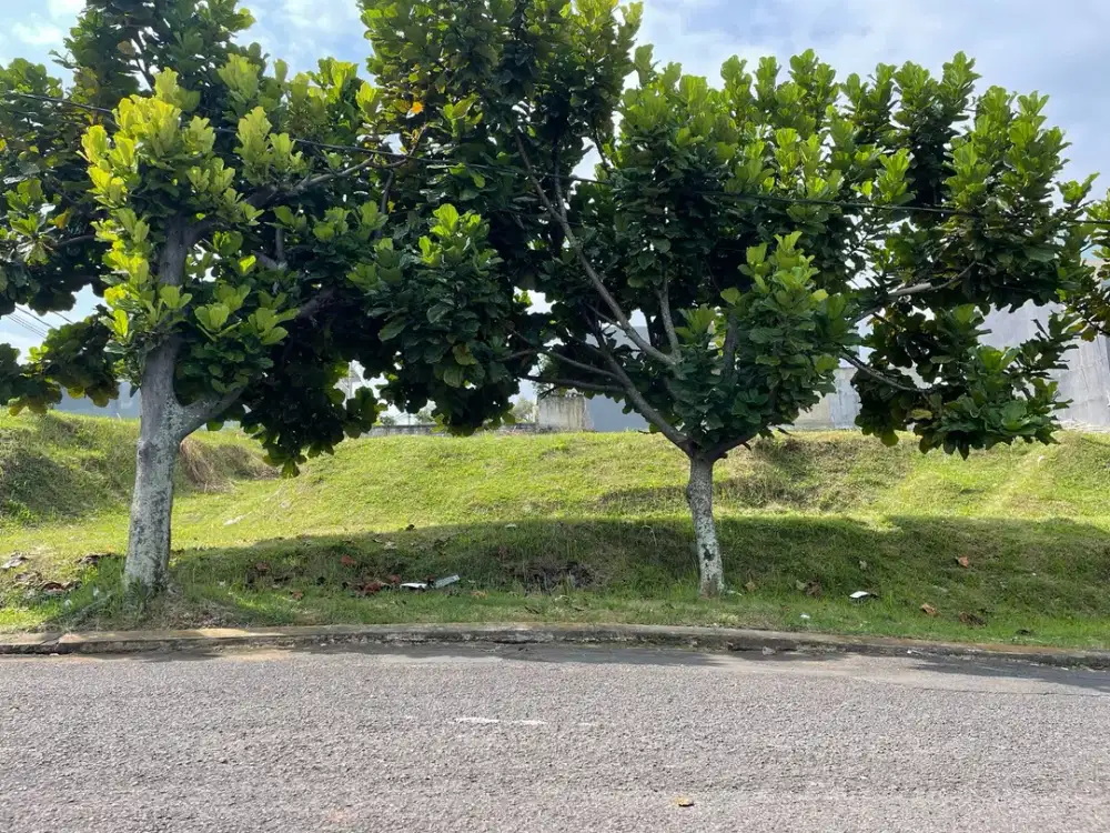 Kav Premium Kawasan Old Money Budi Indah Regency