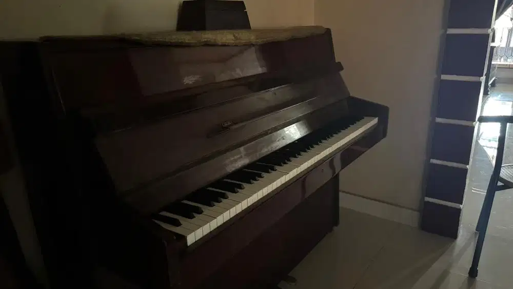 PIANO CLASSIC MEREK STEINMEYER