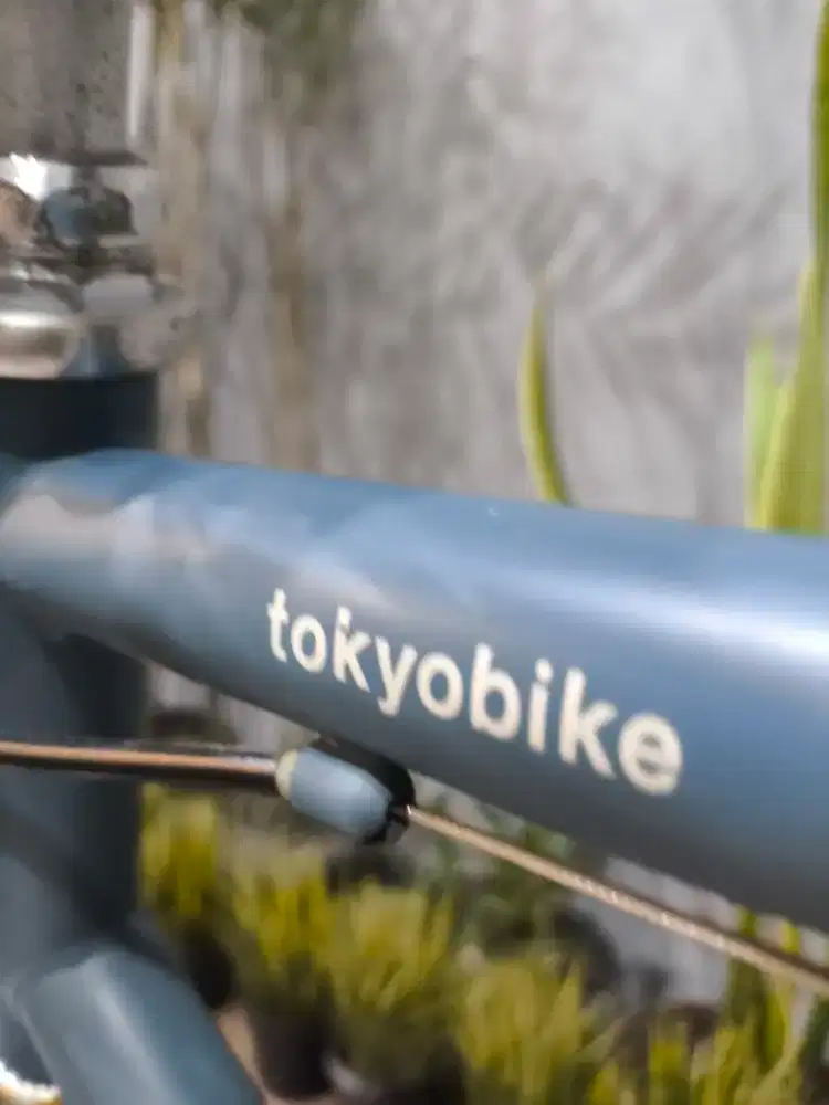 SEPEDA TOKYOBIKE PRELOVED