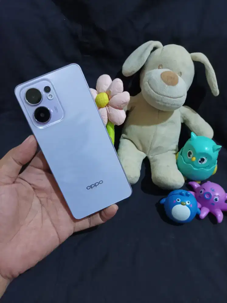 Oppo Reno 13F 5G 12/256GB