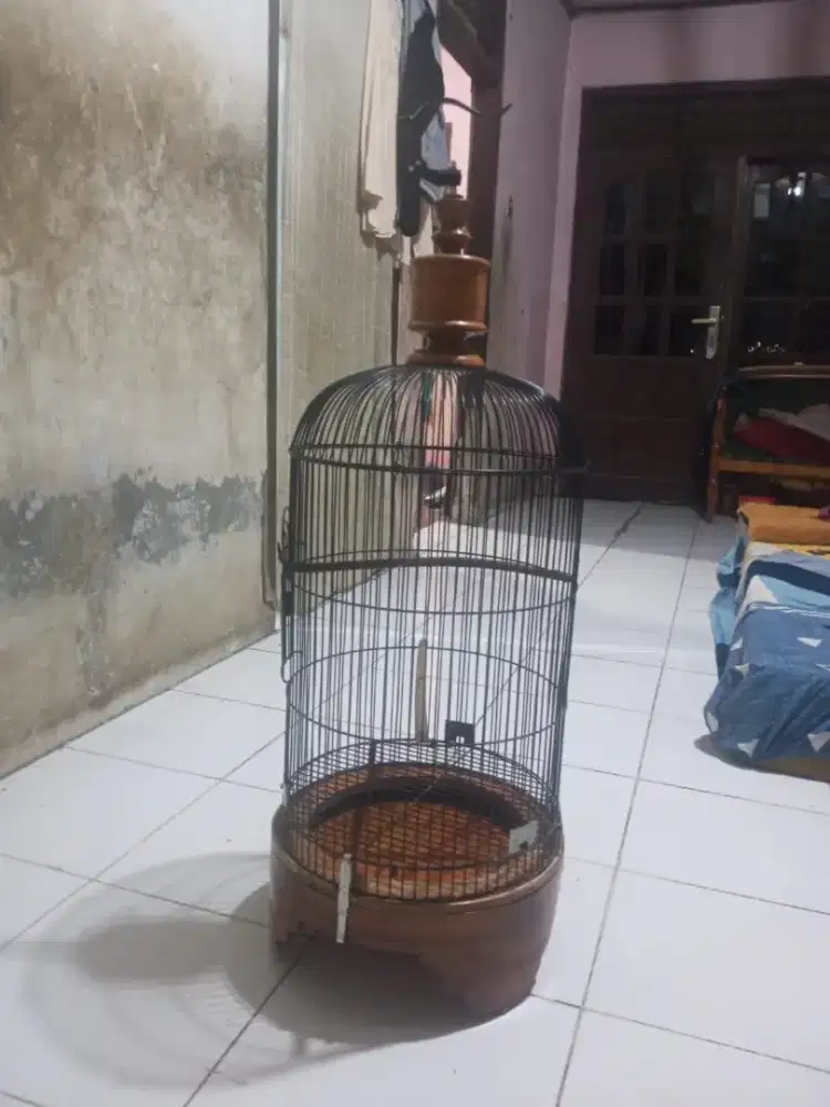 KANDANG KAPSUL JATI 350 NET AJA