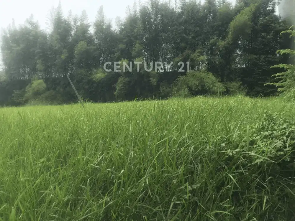 Di Jual Cepat Bu Kavling Gandeng Di Lippo Cikarang
