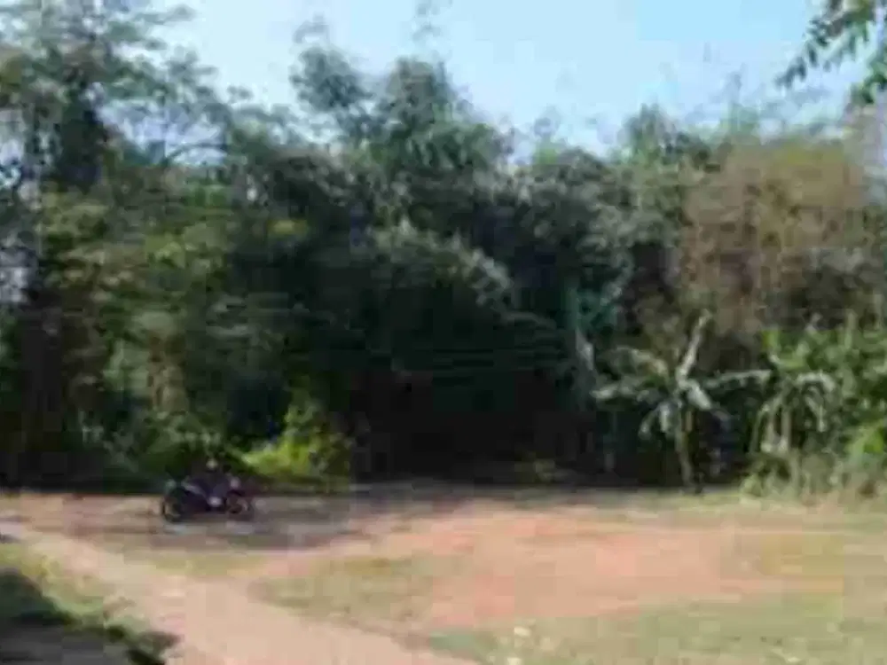 DESA, DIJUAL TANAH TERMURAH, OWNER MAU TERJUAL CEPAT, LUAS 737m2, SHM.