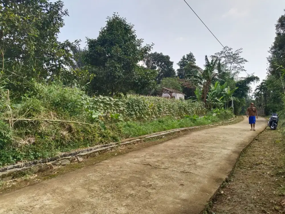 Dijual Tanah Strategis Pinggir Jalan | 500 Meter Dari Jalan Utama
