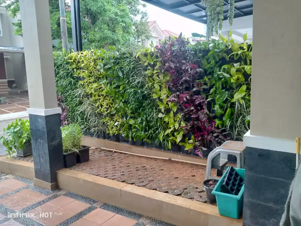 Taman vertikal garden.