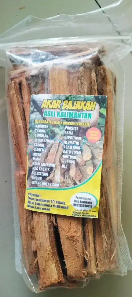 Akar BAJAKAH Asli Kalimantan