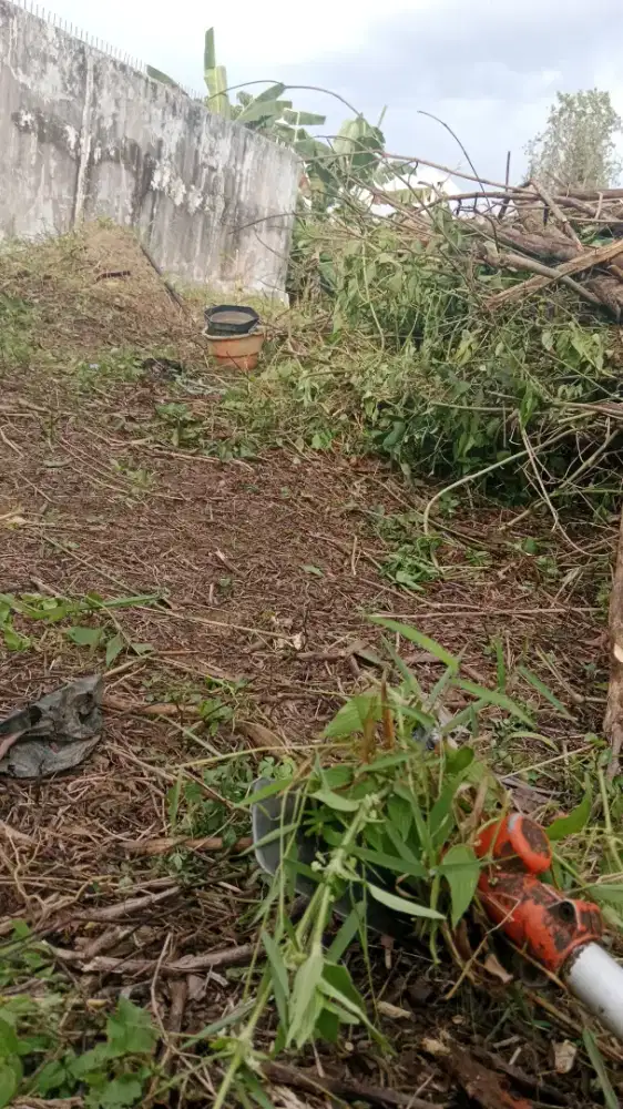 Tukang Tebas rumput