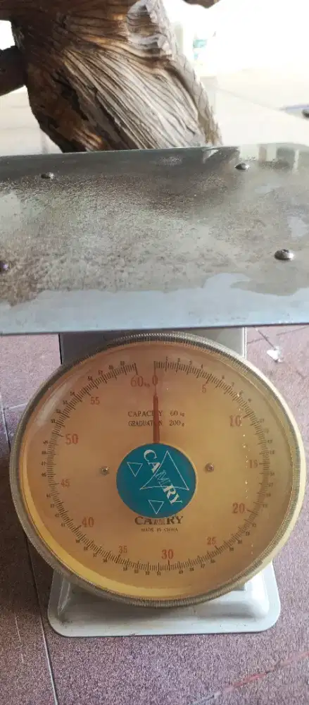 Timbangan Camry kapasitas 60kg
