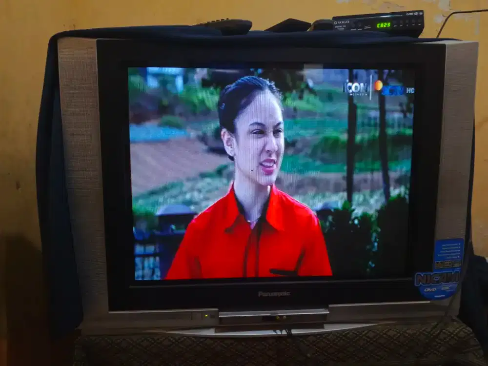 Panasonic 29 Inch Mulus