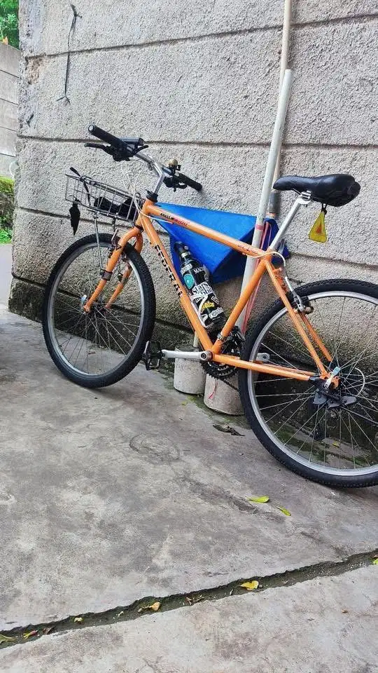 Sepeda federal city cat rapih