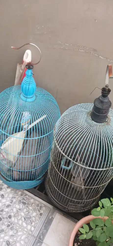 Jual kandang burung