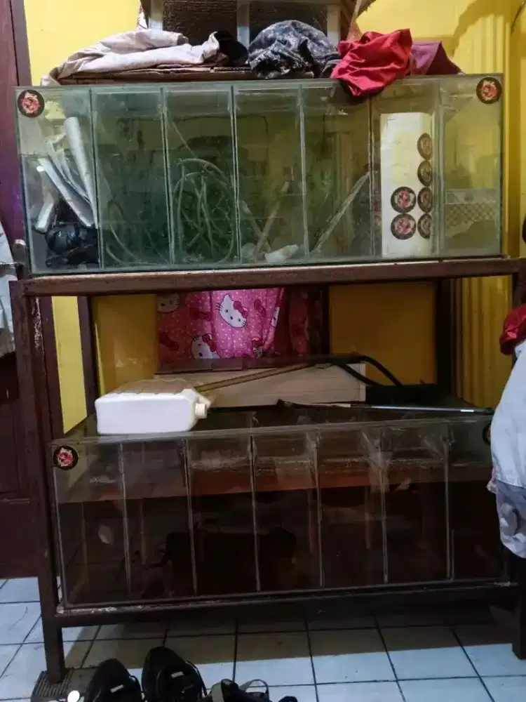 Rak fullset akuarium