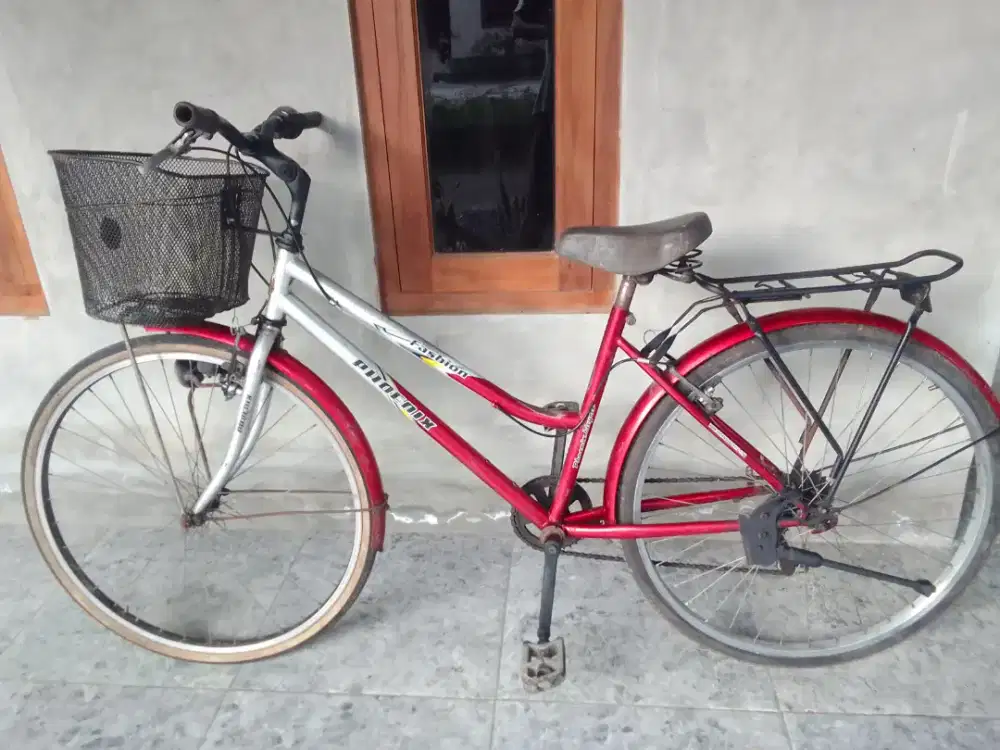 Sepeda keranjang Phoenix 26