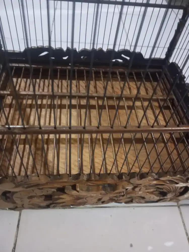 KANDANG JATI UKIRAN JUAL MURAH 350 HARGA NET AJA SAPA CEPAT DIA DAPAT