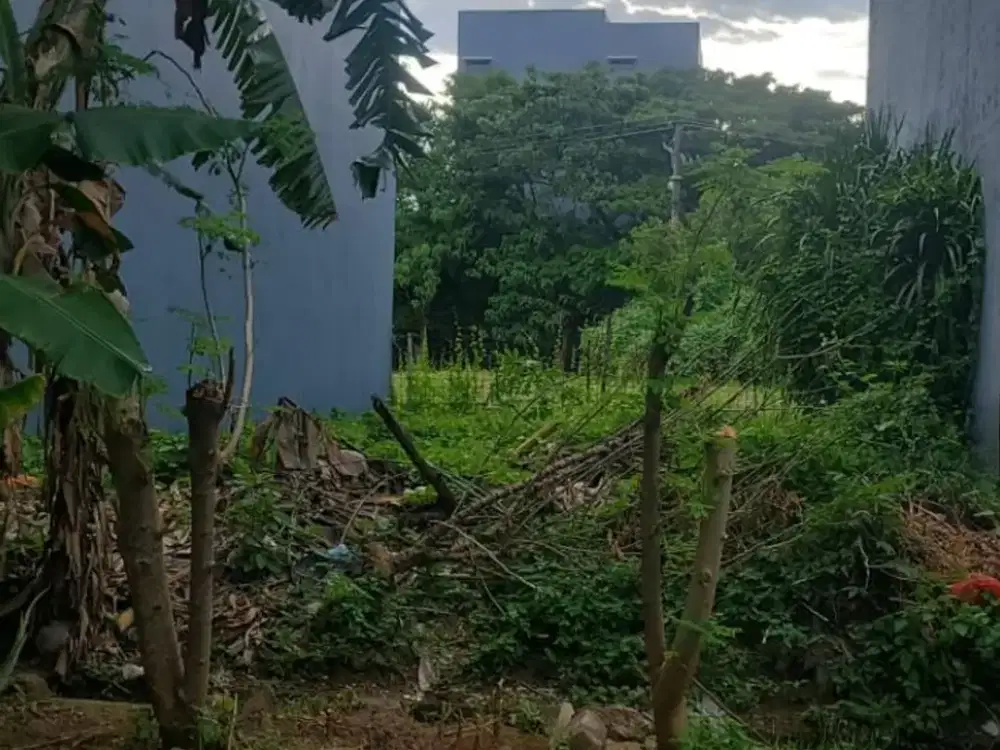 Dijual Tanah Makassar sekitar Jalan Metro Tanjung Bunga