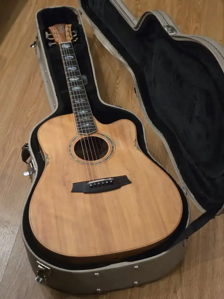 gitar cole clark FL3EC-BB