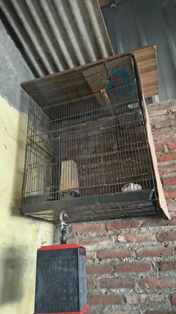 Sangkar atau kandang ternak
