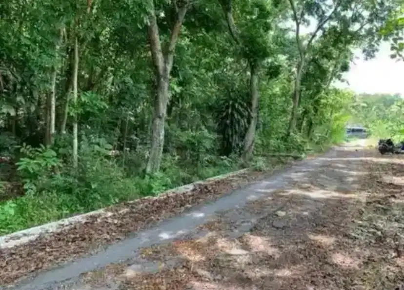Tanah Pekarangan Dengan Muka 29m Hadap Jalan Lebar 6,5m