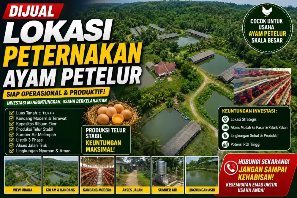 Peternakan Ayam Petelur