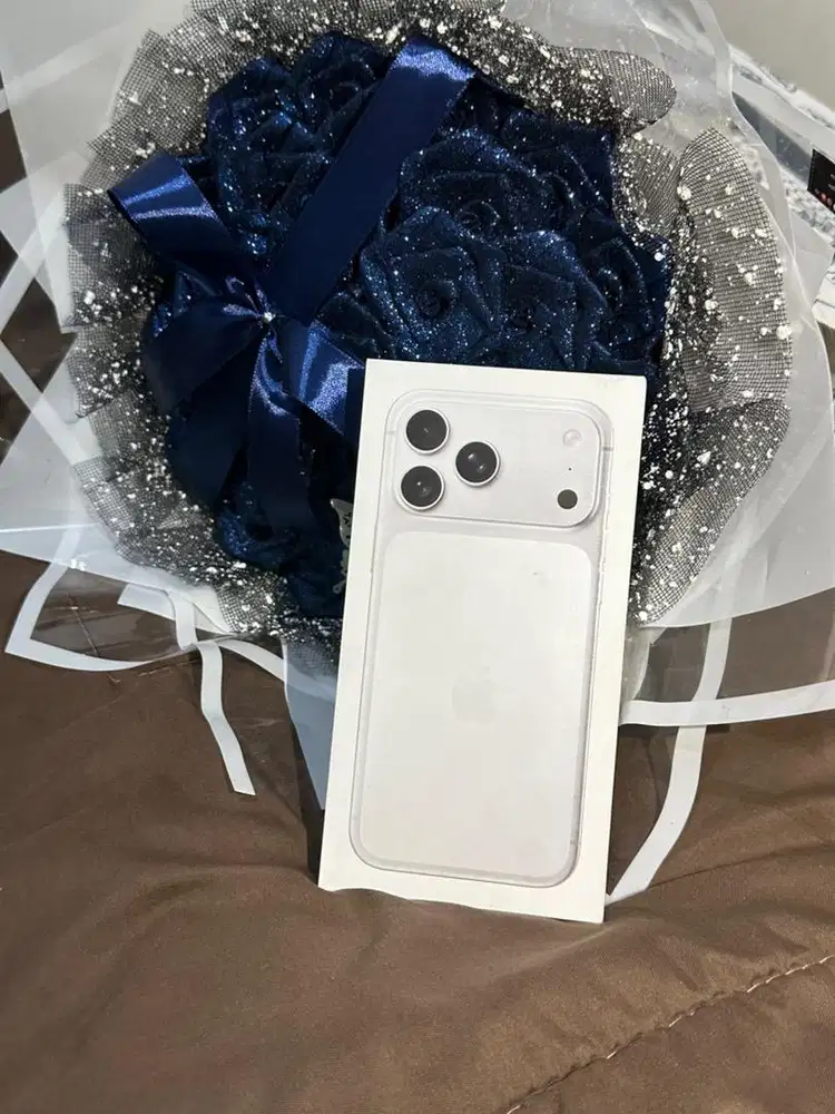 iphone 17 pro 256 silver