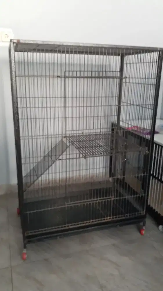 Kandang kucing 2 pintu tingkat
