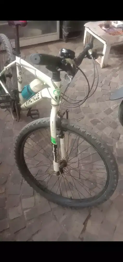 Sepeda Roadchamp Wimcycle