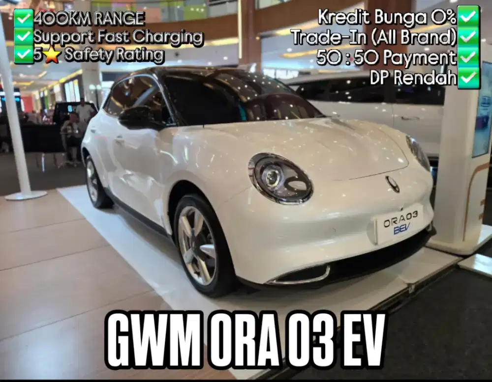 Great Wall Motor ORA 03 EV