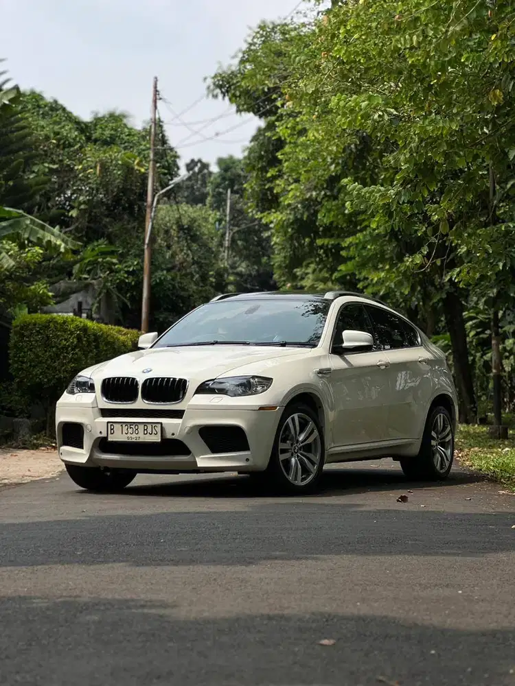 BMW X6 M E71 2011