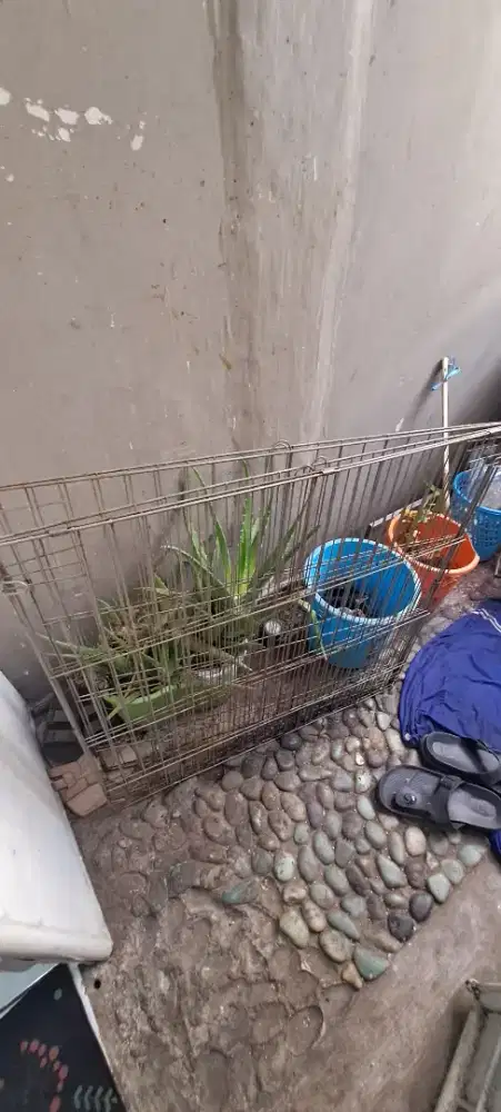 Kandang sangkar Ayam kucing anjing kelinci