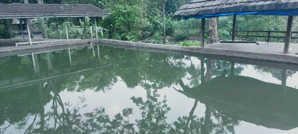 Dijual Tanah 1.324 m2 Cijeruk Bogor
