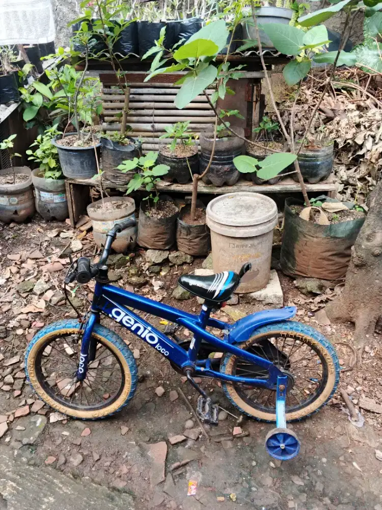 Sepeda anak Ukuran 12