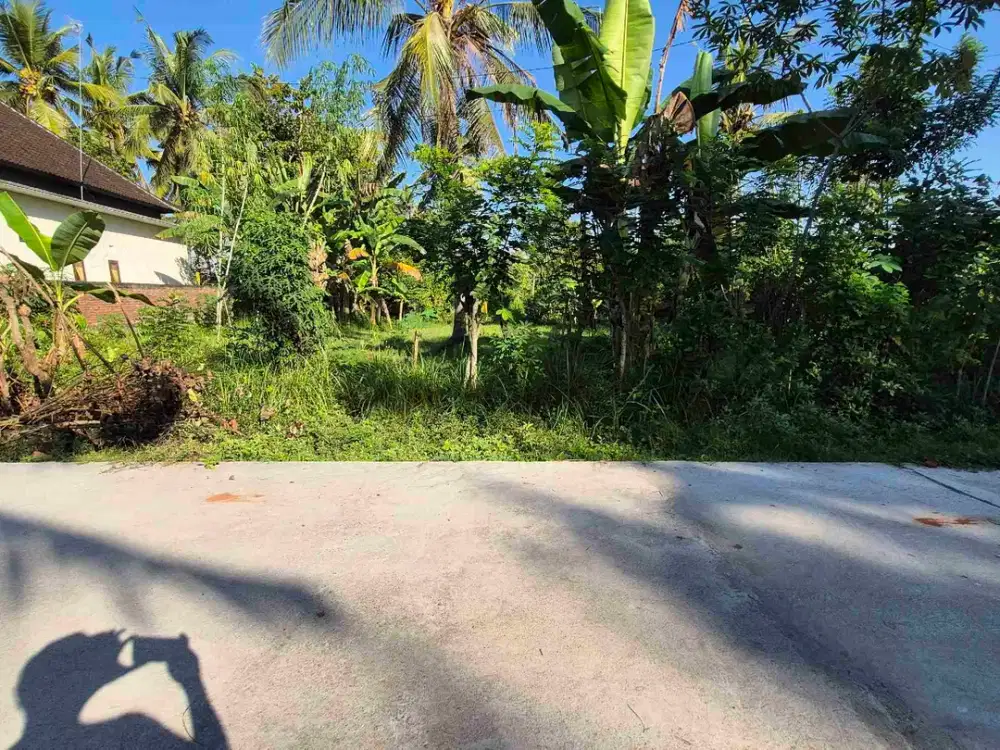 TANAH 465M2 STRATEGIS, DESA TEGAL BADENG TIMUR JEMBRANA BALI